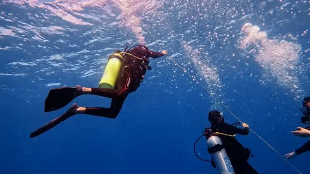 mergulho-2