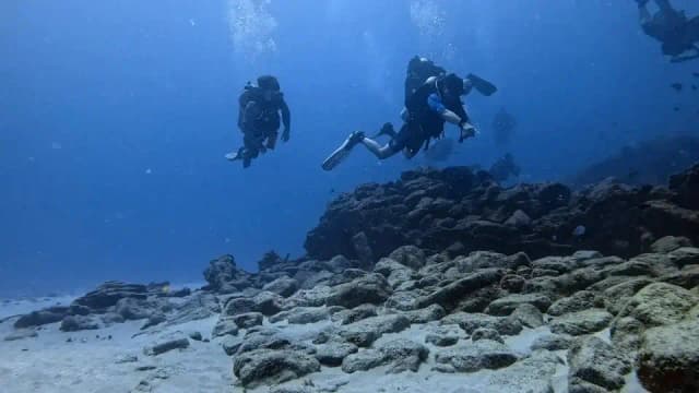 mergulho-3