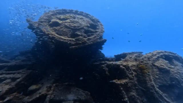 mergulho-7