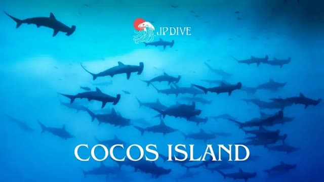 cocos