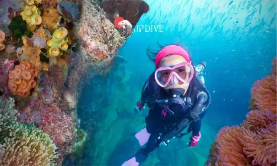 Open Water