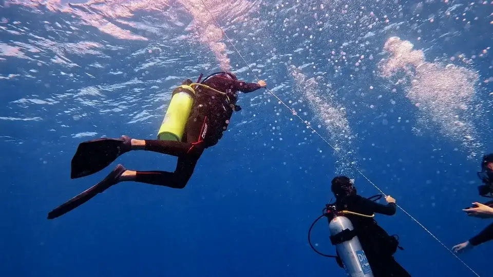 mergulho-2