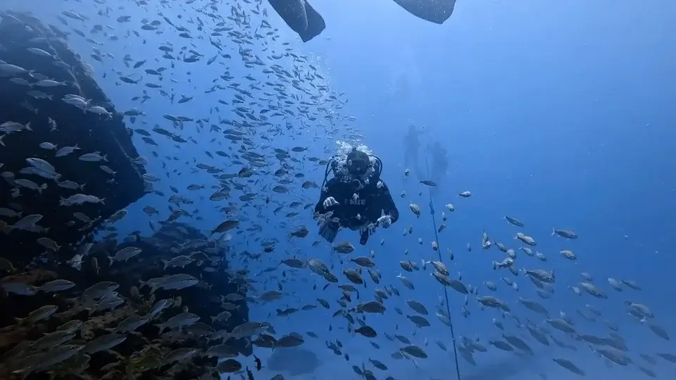 mergulho-5