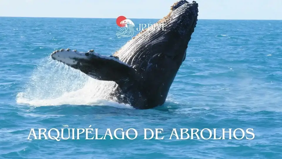 abrolhos