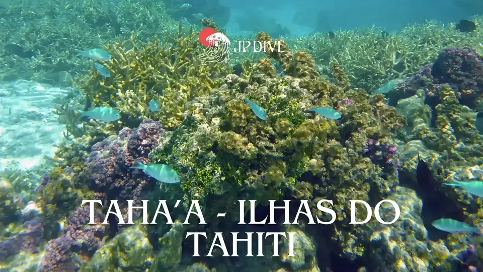 tahaa