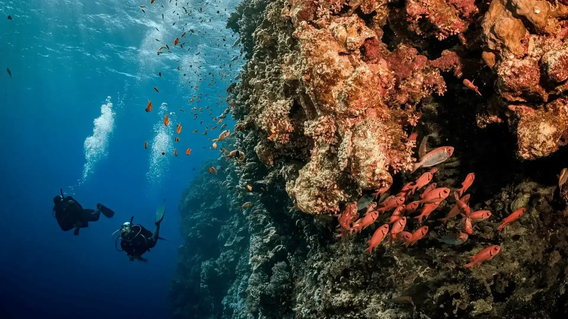 expediçao-imagem